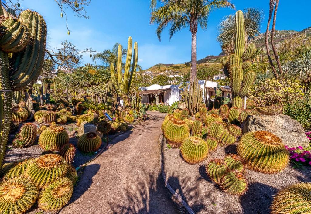 Jardin de l'Hotel Villa Ravino Secret Retreat à Forio, Ischia.