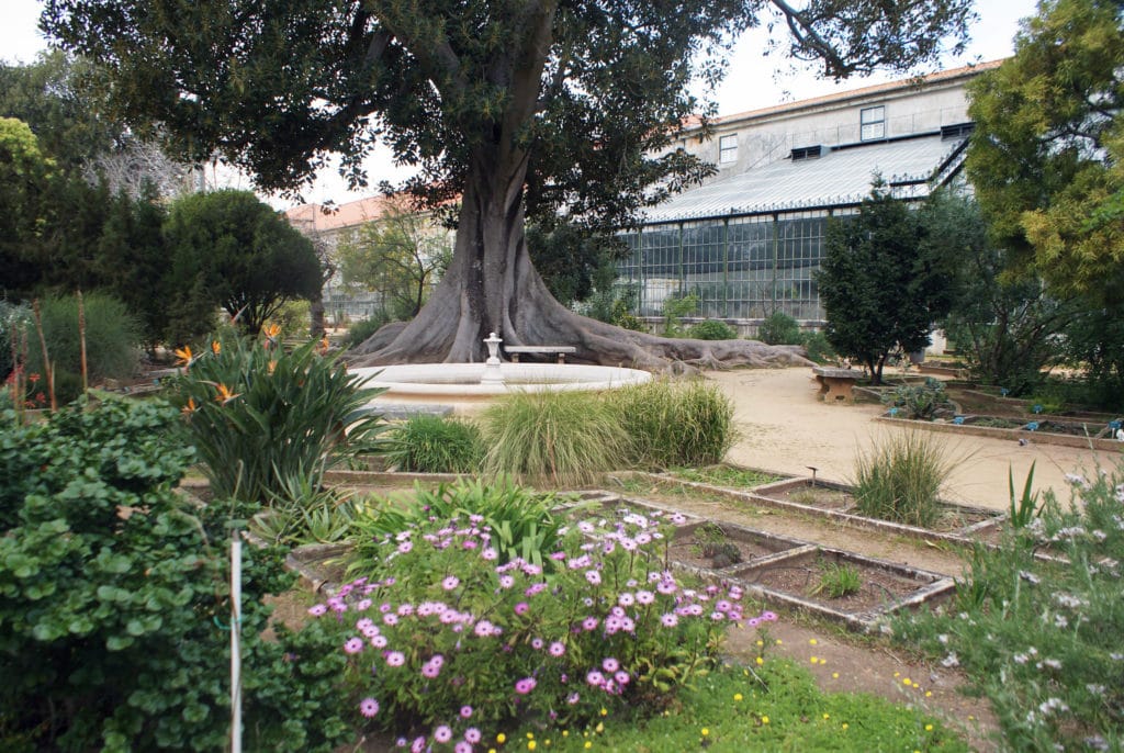 Partie haute du jardin botanique d'Ajuda à Lisbonne.