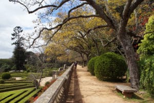 Jardin botanique d’Ajuda à Lisbonne : Désuet et charmant