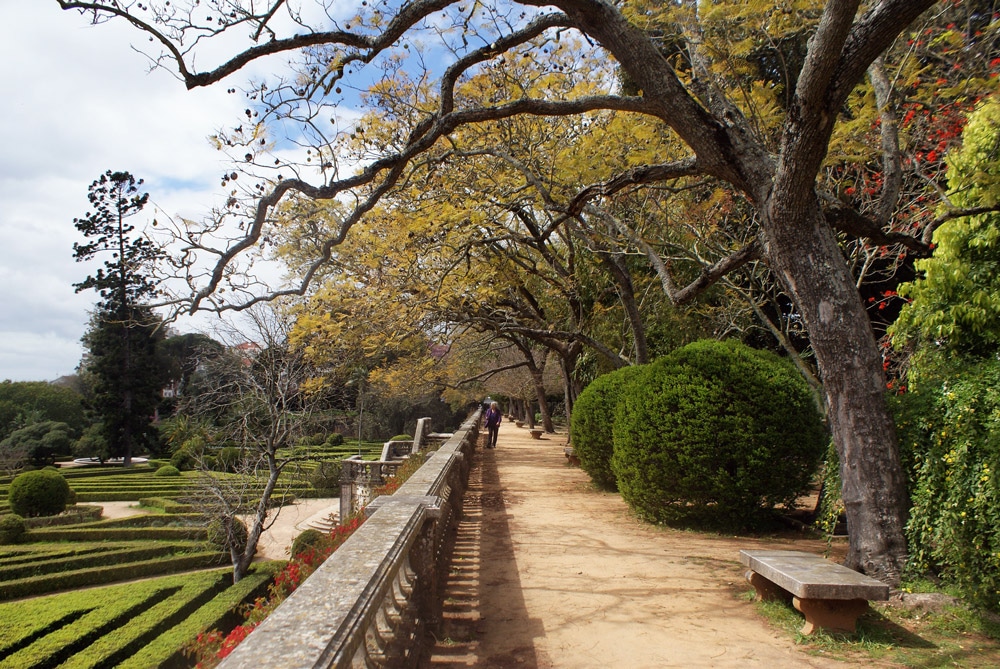 Lire la suite à propos de l’article Jardin botanique d’Ajuda à Lisbonne : Désuet et charmant [Ajuda]