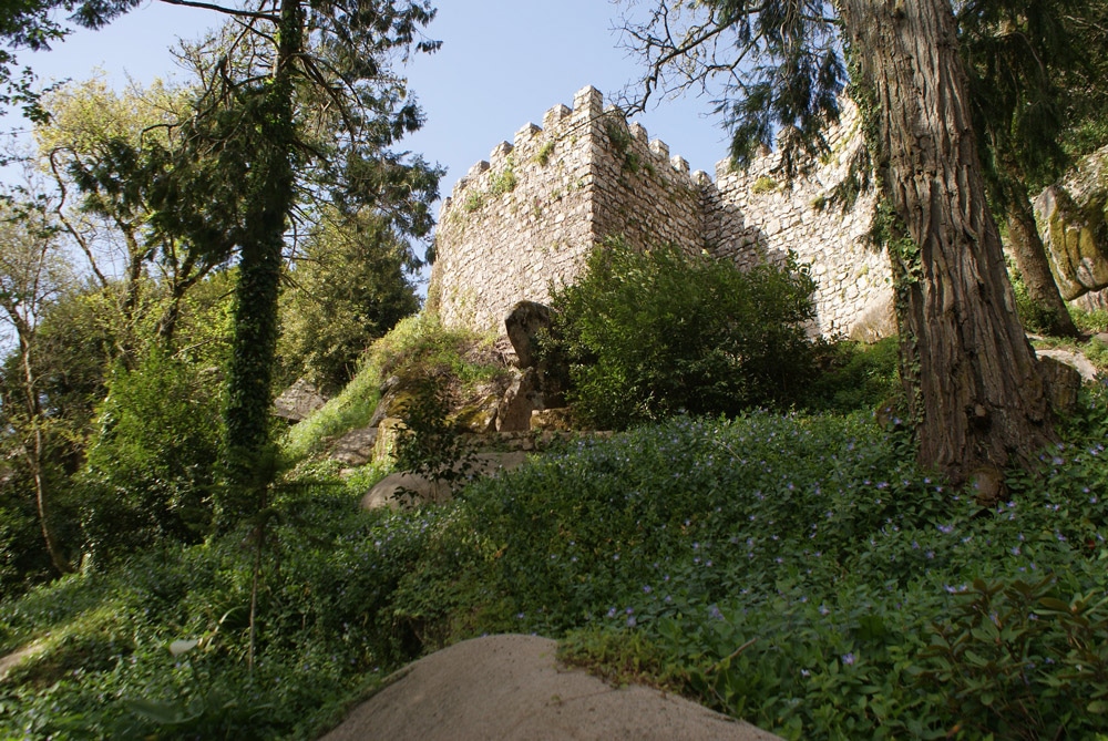 A l'intérieur du Chateau des Maures à Sintra, murailles et arbres centenaires.