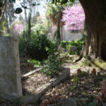 Cimetière anglais de Lisbonne : Romantique et luxuriant [Estrela]