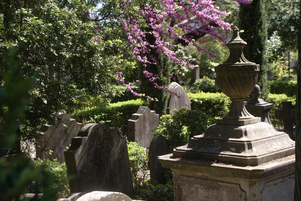 Cimetière anglais de Lisbonne au printemps.