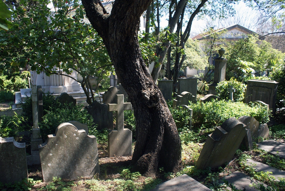 Dans le cimetière anglais de Lisbonne