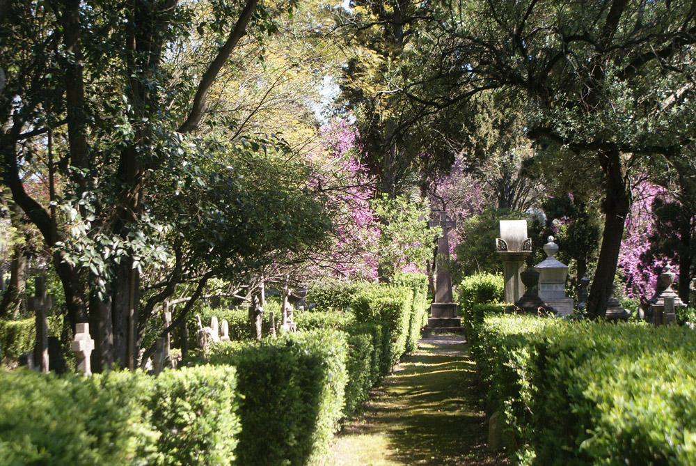 Allée du cimetière anglais di squartier d'Estrela à Lisbonne.