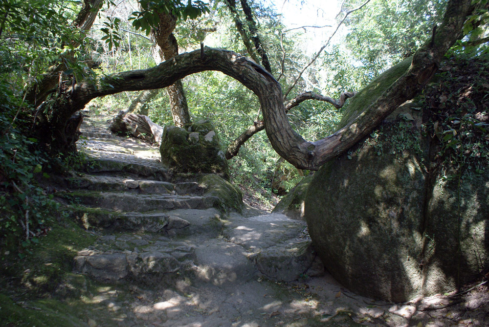 Autour du Couvent des Capucins à Sintra.