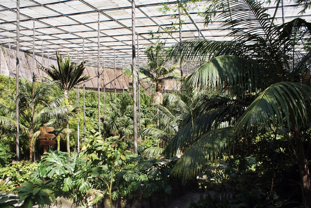 Serre froide du jardin botanique d'Estufa fria à Lisbonne.