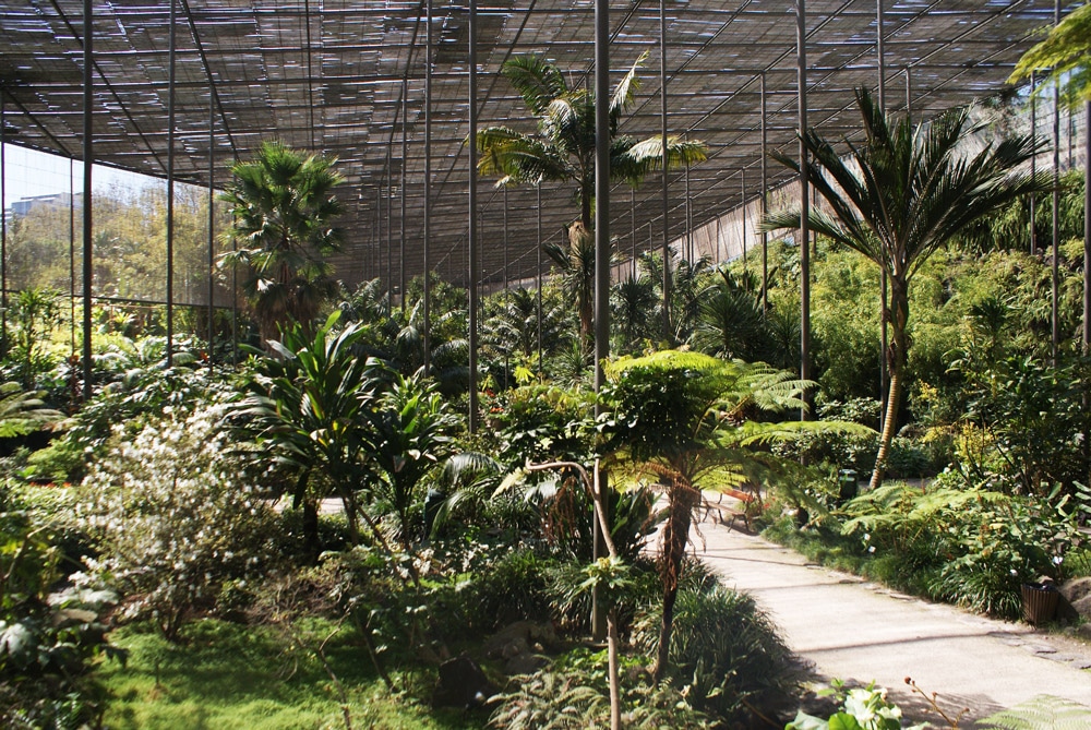 Parcs et jardins de Lisbonne : Jardin botanique d'Estufa fria à Lisbonne.