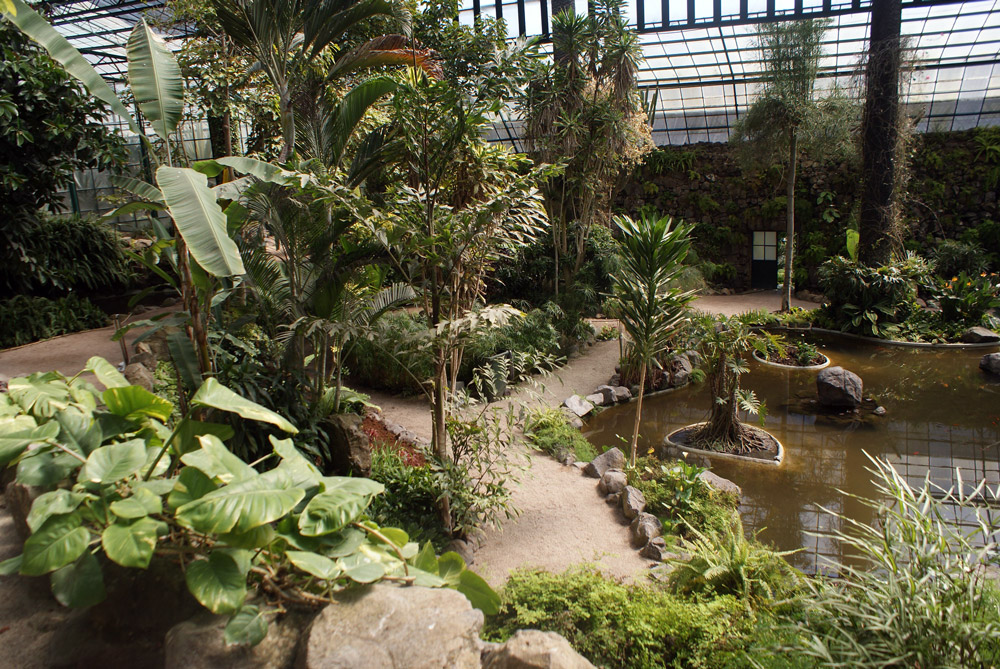 Serre chaude du Jardin botanique d'Estufa fria à Lisbonne.