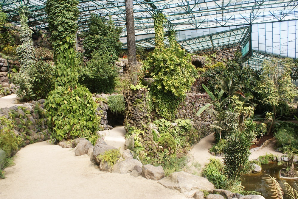 Serre chaude du Jardin botanique d'Estufa fria à Lisbonne.