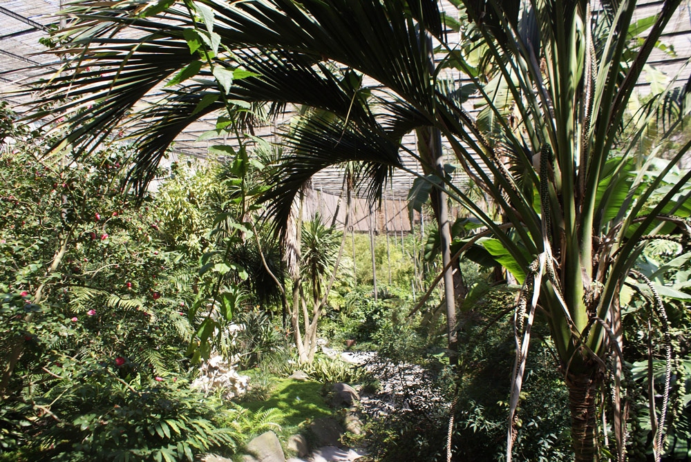 Jardin botanique d'Estufa fria à Lisbonne.