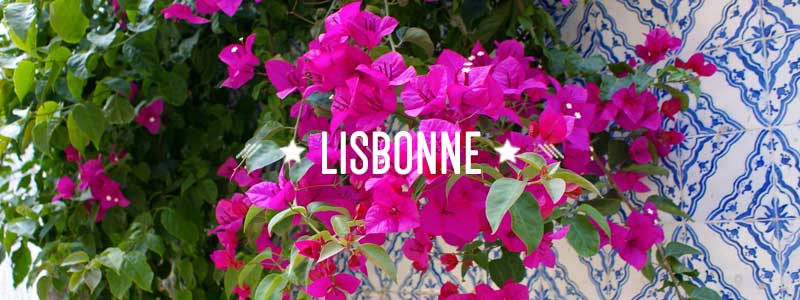 Pourquoi aller à Lisbonne ?