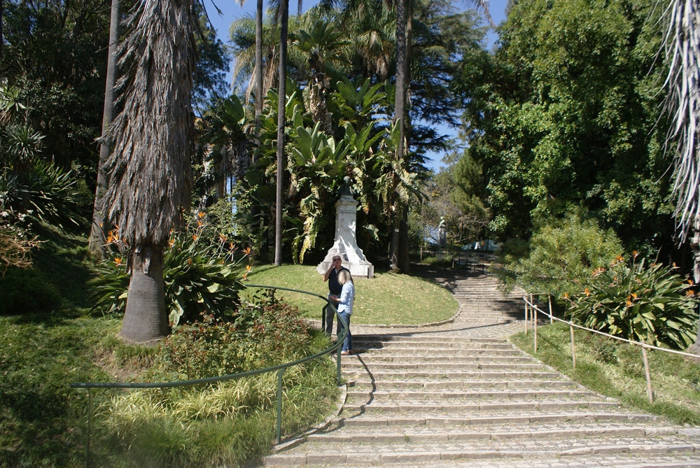 Escalier entre la partie "Classe" et la partie "arboretum" du jardin botanique de Lisbonne.