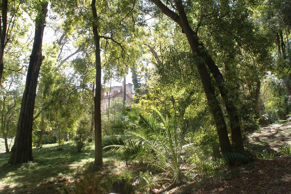 A l'ombre du Jardin botanique de l'Université de Lisbonne