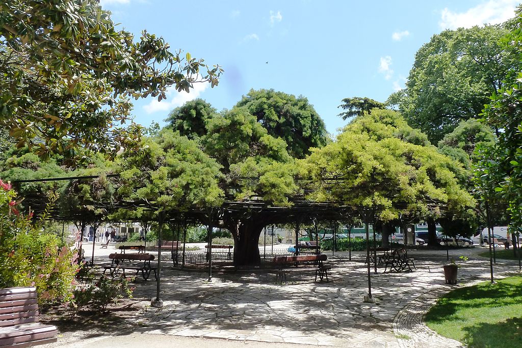 Le marché se déroule dans le jardin Príncipe Real à Lisbonne. Photo de Nicola