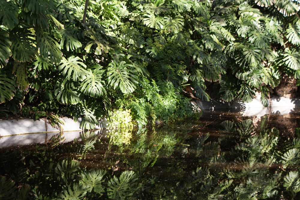 Jardin des Necessidades à Lisbonne