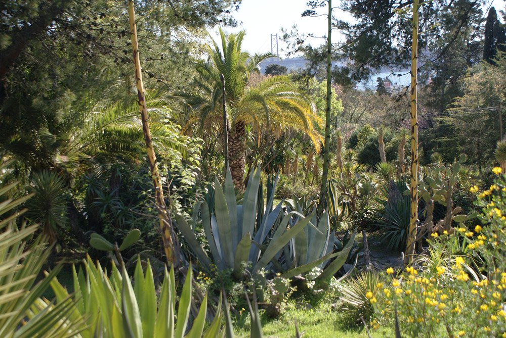 Jardin des Necessidades à Lisbonne