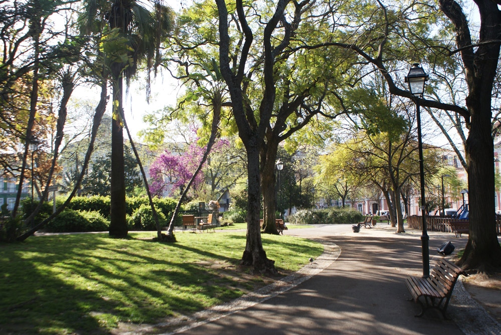 Jardin de la place de Principe Real à Lisbonne.