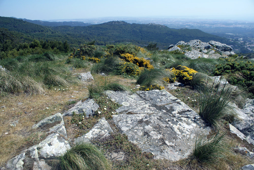 Vue depuis le sanctuaire de Peninha au dessus de Sintra et du littoral.