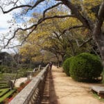 Jardin botanique d&rsquo;Ajuda à Lisbonne : Désuet et charmant