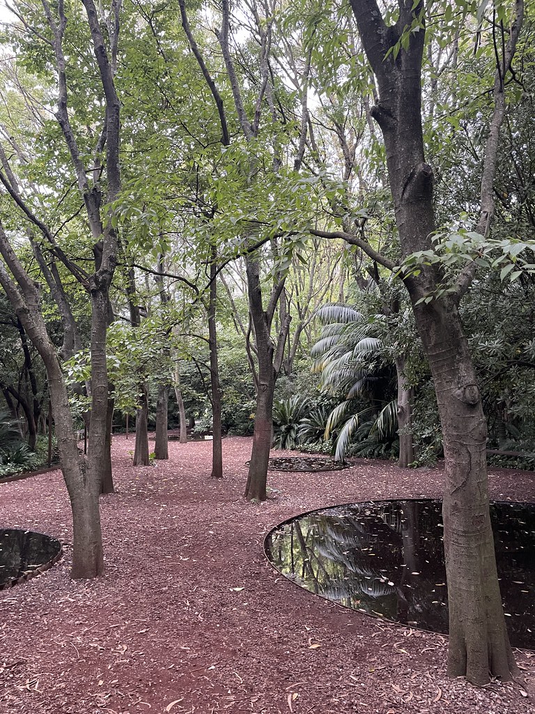 Dans le jardin du Musée Calouste Gulbenkian à Lisbonne.