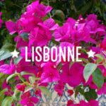 Pourquoi aller à Lisbonne ?