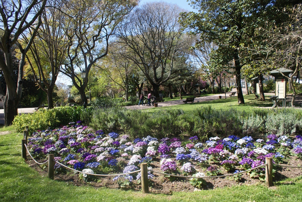 Dans le jardin d'Estrela : Havre de paix à Lisbonne.