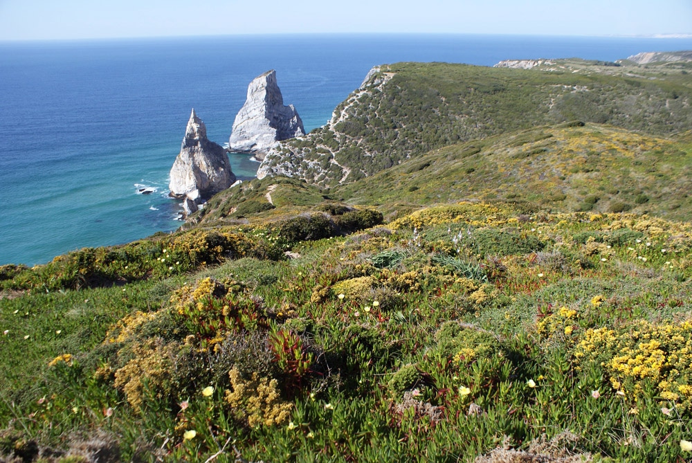 En route vers la plage d'Ursa près de Sintra.