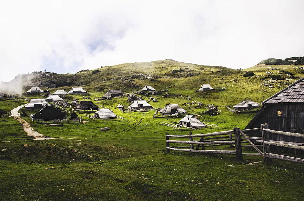 Dans les alpages de Kvelika planina - Photo d'Ales Krivec