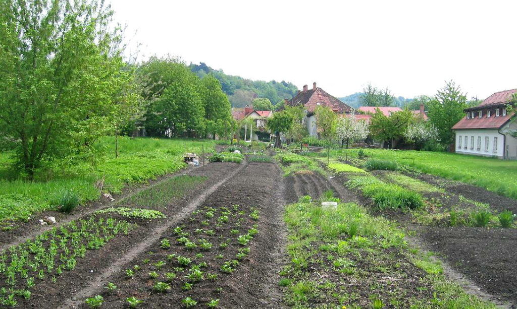 Potager dans le quartier de Krakovo à Ljubjlana.