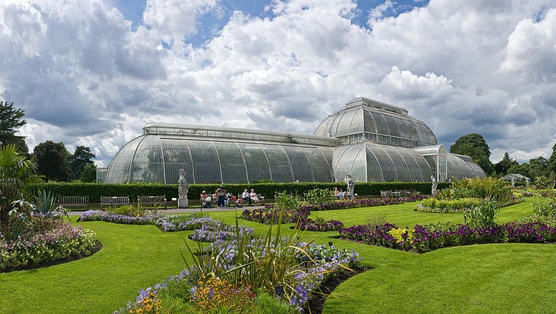 Serre de la Palm House dans le jardin botanique de Kew Gardens à Londres - Photo de David Iliff