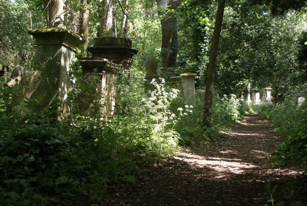 Abney park cemetery dans le quartier de Stoke Newington à Londres.