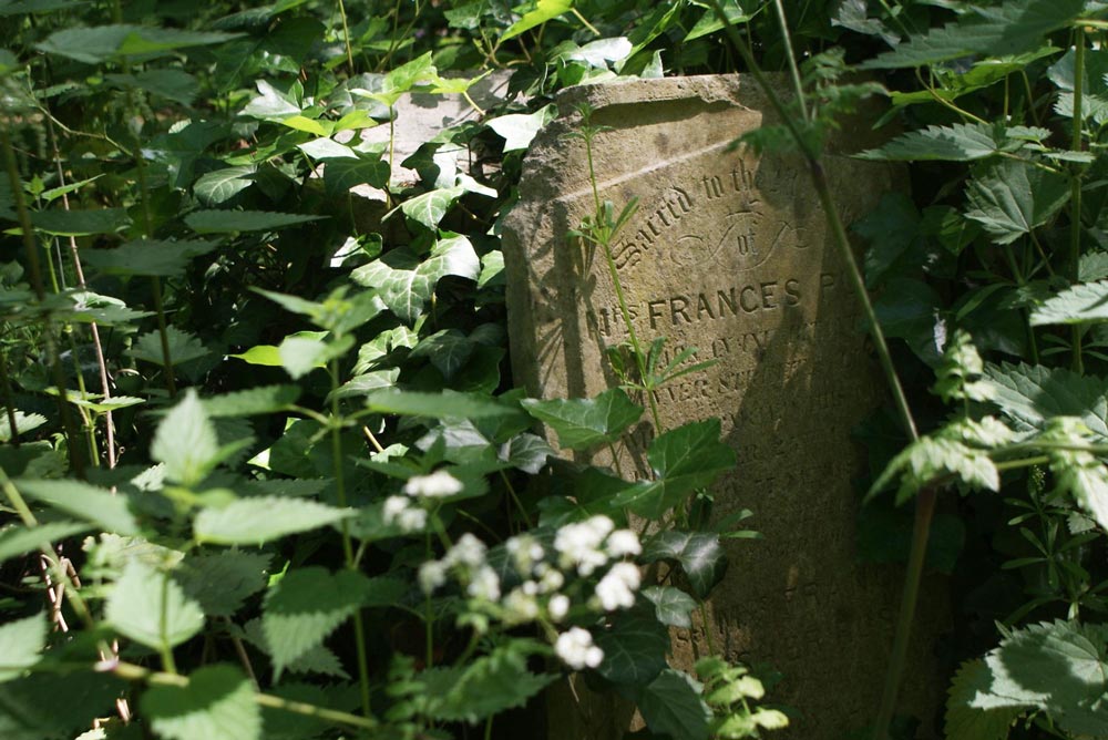 Abney park cemetery dans le quartier de Stoke Newington à Londres.