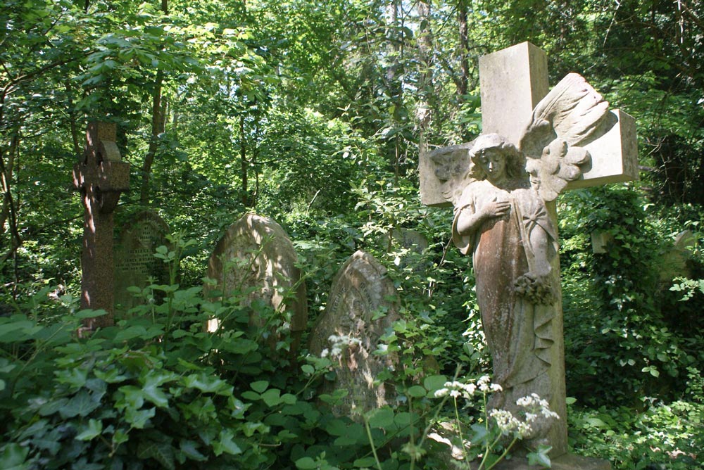 Abney park cemetery dans le quartier de Stoke Newington à Londres.