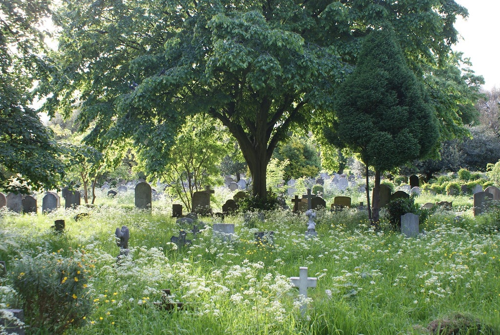 Cimetières victoriens de Londres : Tombes éparses entourées de fleurs sous un grand arbre au Brompton cemetery.