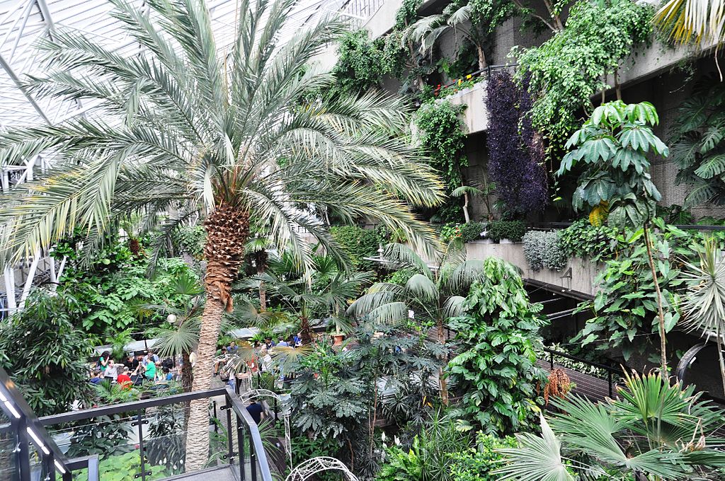 Dans la Barbican Conservatory de Londres - Photo de Ra Boe Wikipedia