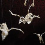 Cabinet des curiosités et bar à absinthe Viktor Wynd à Londres