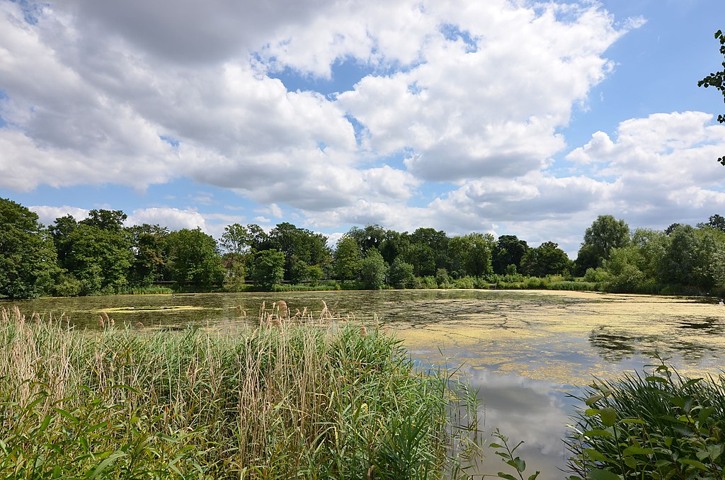 Etang de Hampstead Heath à Londres - Photo de Bloodholds