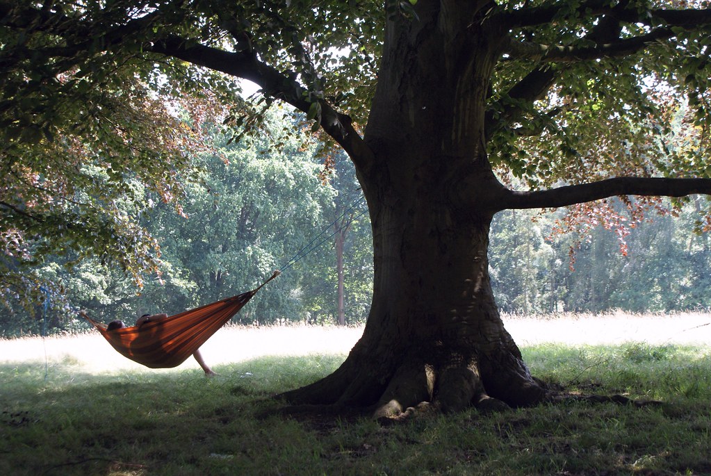 La belle vie dans un hamac dans le parc de Hampstead Heath à Londres.