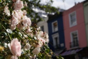 Notting Hill, quartier des antiquaires et soundsystems à Londres