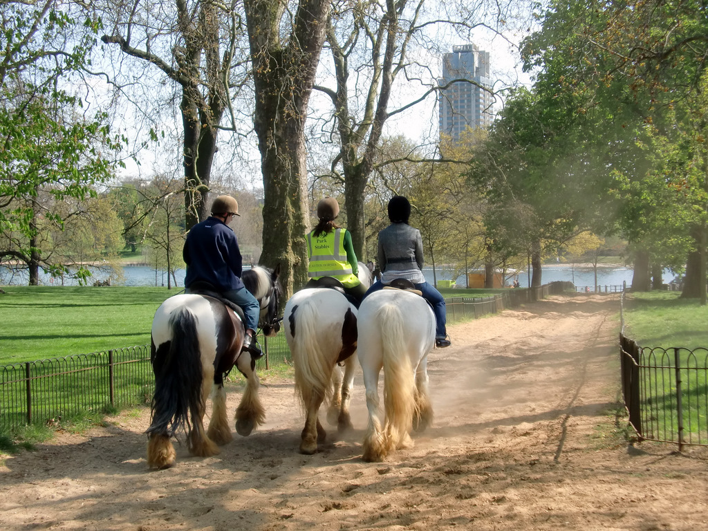 Chevaux dans le parc de Hyde park - Photo de Christine Matthews - Licence ccbysa 2.0