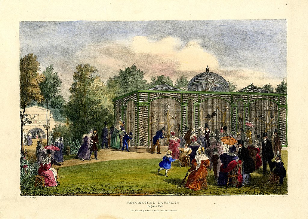 Zoo de Londres à Regent's park en 1835.