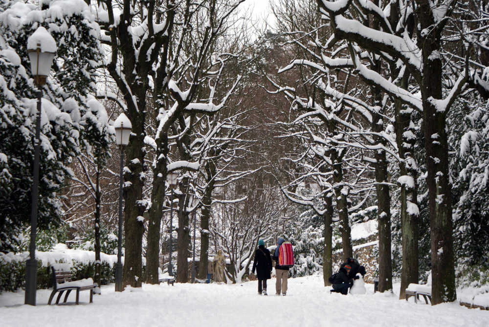 Ambiance hivernale dans le Jardin du Rosaire dans le quartier de Fourvière à Lyon.