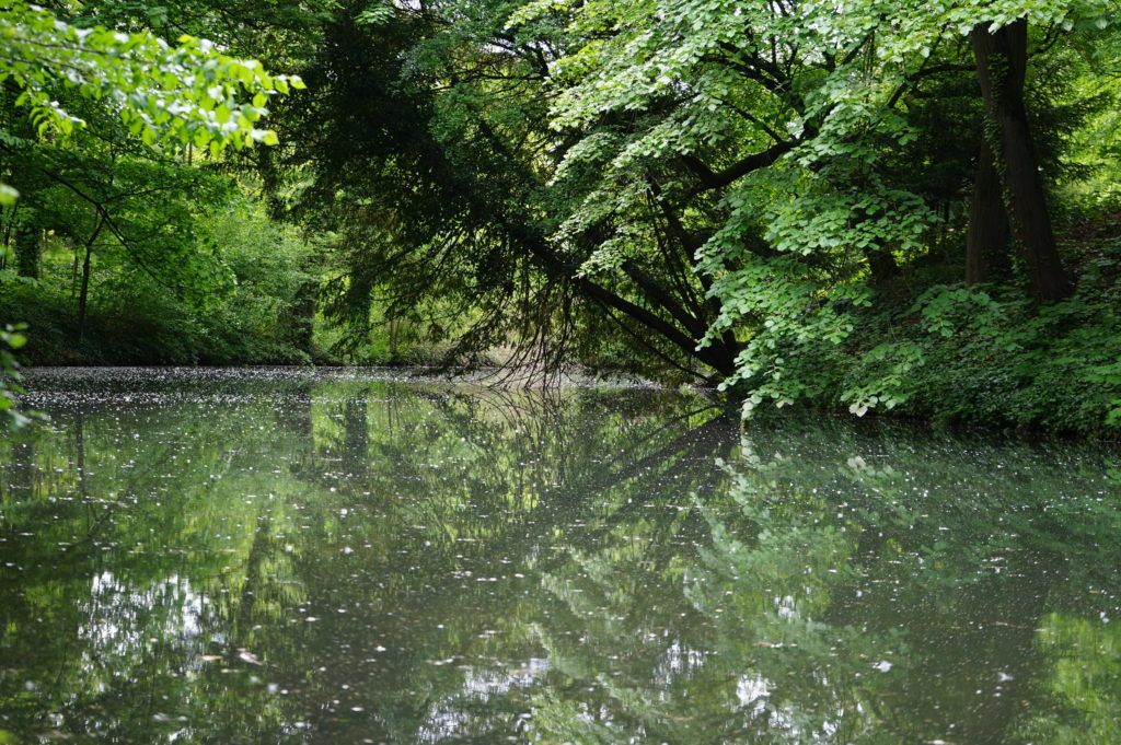 Lac du Parc de la Tête d'Or à Lyon.