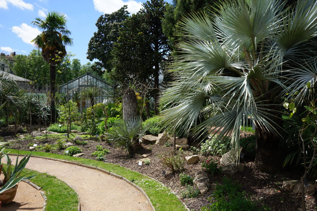 Jardin mexicain du jardin botanique du Parc de la Tête d'Or à Lyon.