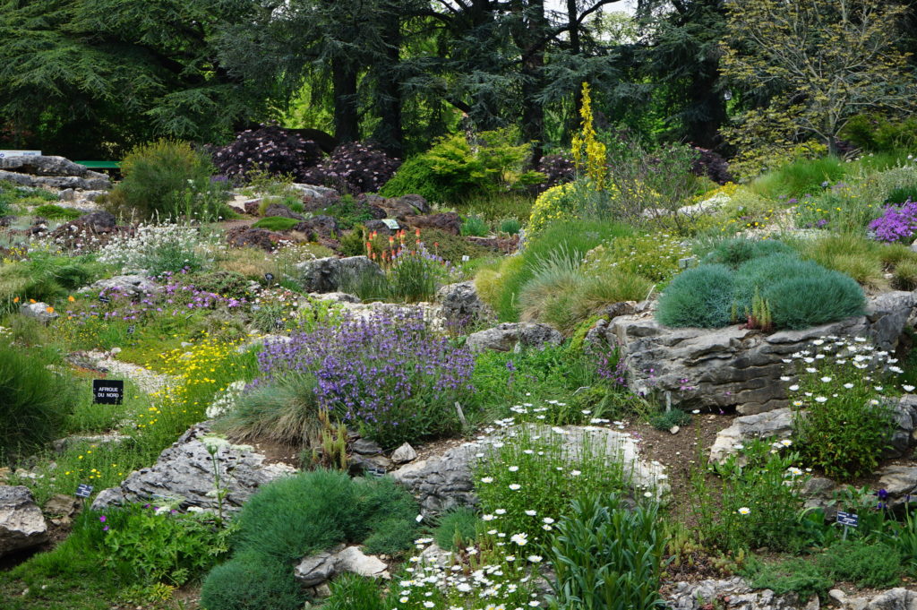 Jardin de rocaille du Parc de la Tête d'Or à Lyon.