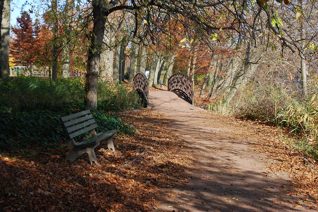 Allée du parc de la Tête d'Or à Lyon - Photo de Jean Housen