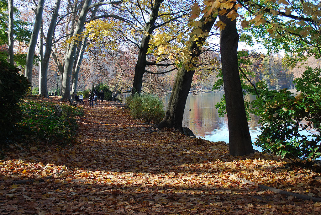 Au bord du lac du parc de la Tête d'Or à Lyon - Photo de Jean Housen