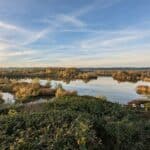 Attractions pour les enfants entre 11 et 14 ans à Lyon