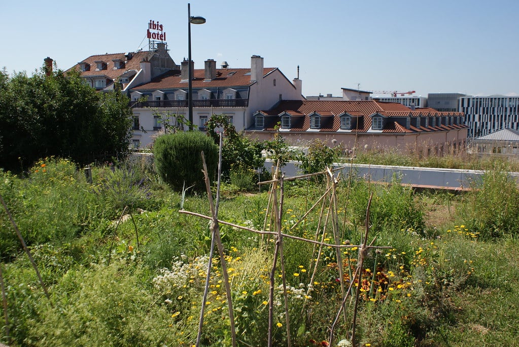 Potagers et toits végétalisés sur la gare routière de Perrache à Lyon.